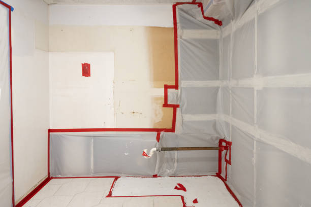 Best Industrial Mold Remediation  in Lynn, MA