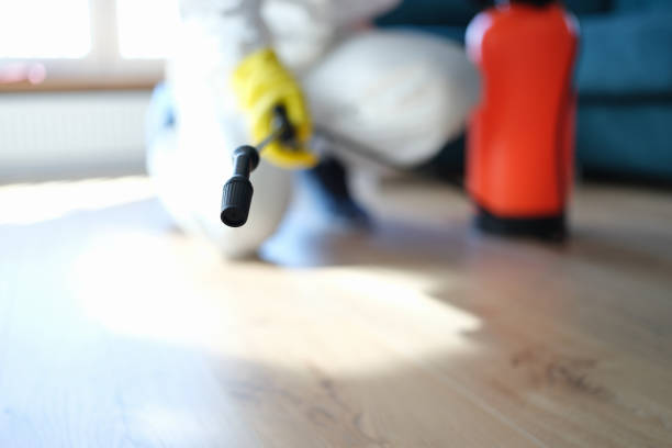 Best Asbestos and Lead Testing During Mold Inspection  in Lynn, MA
