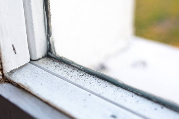 Best Airborne Mold Testing  in Lynn, MA