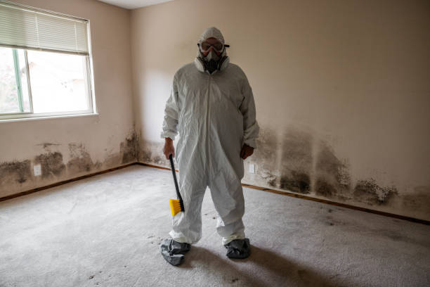 Best Air Quality Testing for Mold Spores  in Lynn, MA