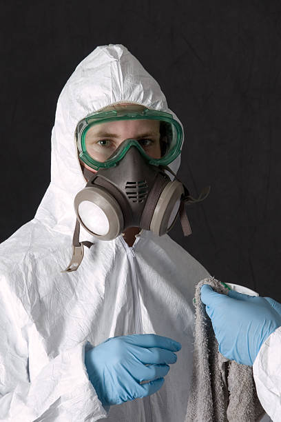 Best Basement Mold Removal  in Lynn, MA